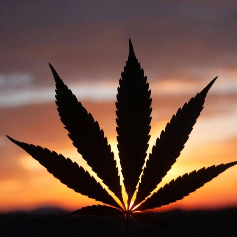 Misconceptions about Marijuana