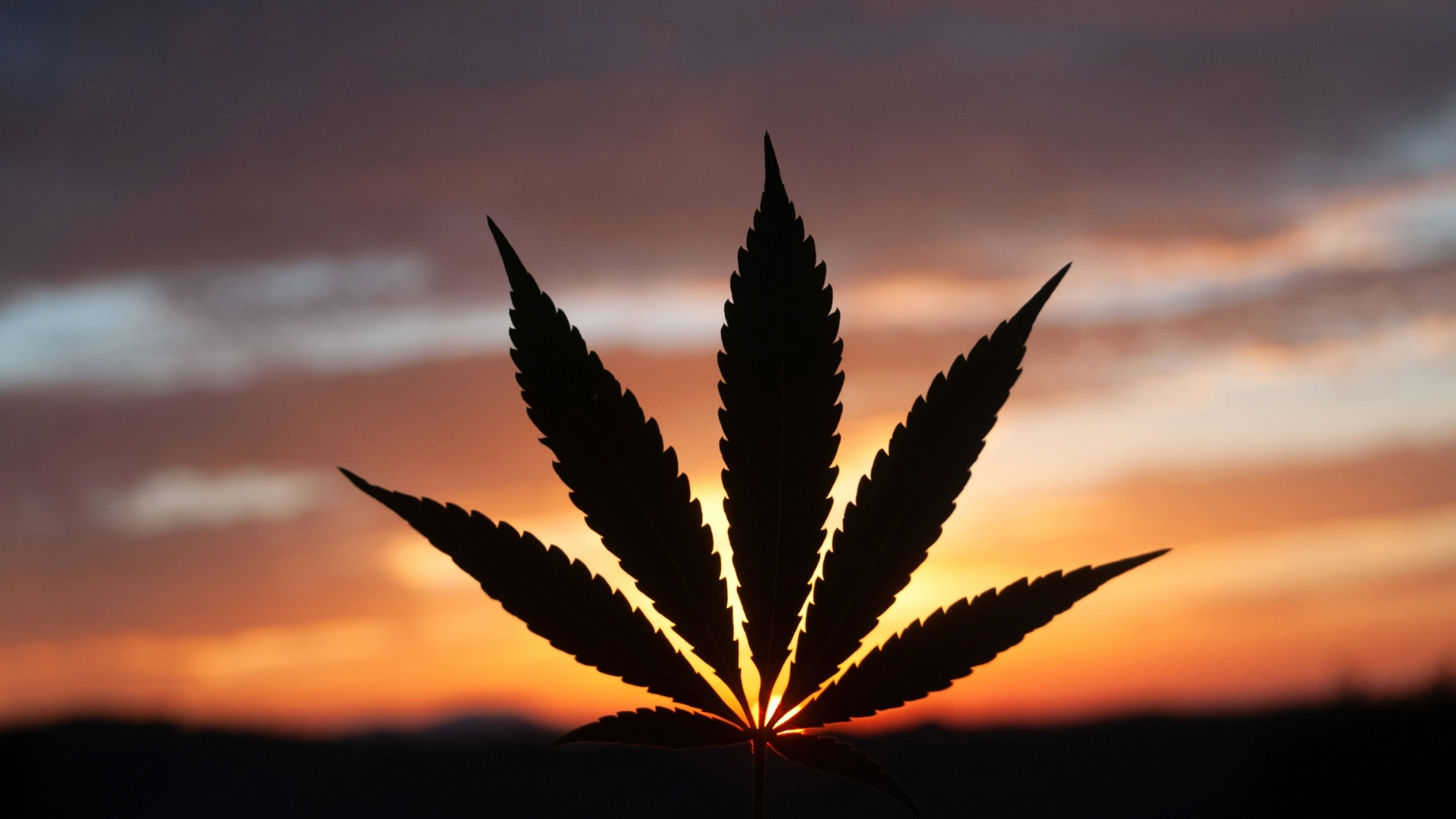 Misconceptions about Marijuana